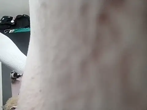 Emilisissy online show from December 3, 2025, 10:35 am