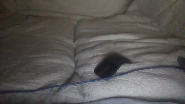 moneymaker50 online show from December 2, 2025, 4:51 am