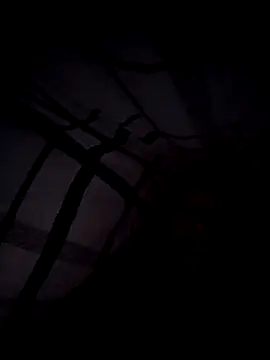 scotbhoyscott online show from March 10, 2026, 4:17 am