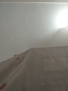 yacinekabiley16 online show from December 15, 2025, 10:52 am