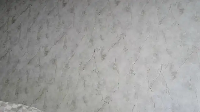 AliceWonderLure online show from December 3, 2025, 9:18 am