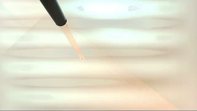 tamara walter online show from March 5, 2026, 1:40 pm