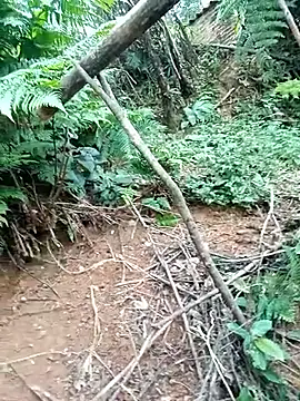 Snapshot of ava-dellght chatting on January 17, 2026, 2:38 am ava-dellght online show from January 17, 2026, 2:38 am