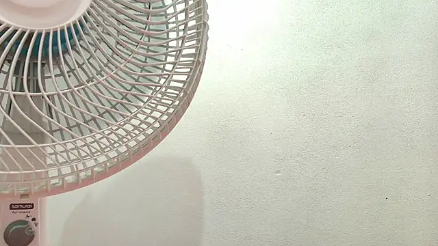 Elizabetth Roman online show from April 22, 2026, 8:32 pm