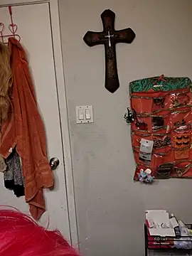 Snapshot of SpiderRose chatting on February 5, 2026, 6:07 am SpiderRose online show from February 5, 2026, 6:07 am