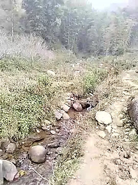 neko-nancy online show from January 14, 2026, 2:50 am