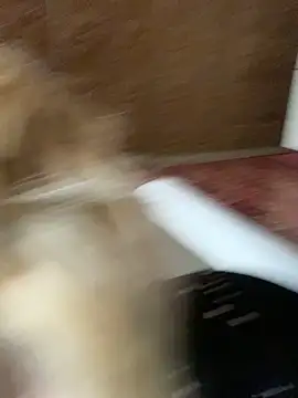 Barbika19 online show from March 9, 2026, 8:18 am