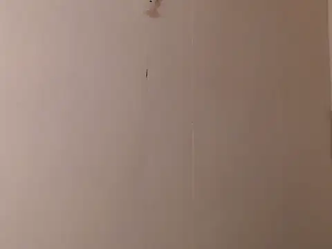 camelastarsairo online show from March 31, 2026, 9:37 pm