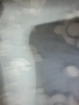 saxy bhabi 2002 online show from January 19, 2026, 12:42 pm