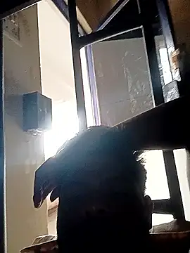 Anji8639 online show from April 19, 2026, 11:53 am