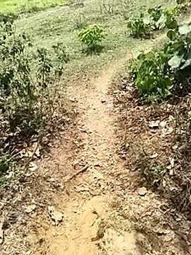 Sheela Sex90 online show from April 19, 2026, 6:56 am