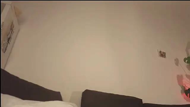 poli blink online show from April 22, 2026, 12:13 am