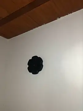 Snapshot of seth_c chatting on March 21, 2026, 6:11 pm seth c online show from March 21, 2026, 6:11 pm