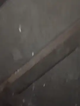 daksh  8 inche online show from February 4, 2026, 10:04 pm