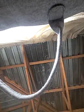 Sihle Plays online show from March 7, 2026, 11:40 am