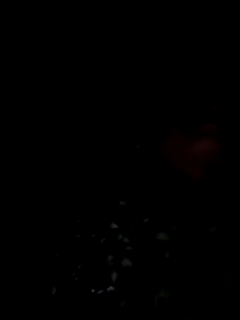 lodhi8080 online show from March 9, 2026, 7:07 pm