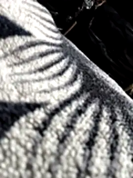 Bhavna8080 online show from February 20, 2026, 8:20 pm