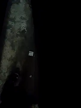 Pagelboy 089 online show from April 24, 2026, 1:30 am