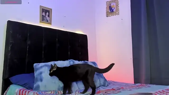 HotboyLyan online show from April 24, 2026, 3:09 am