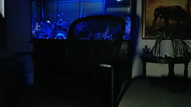 EspanolVato online show from February 8, 2026, 9:13 am