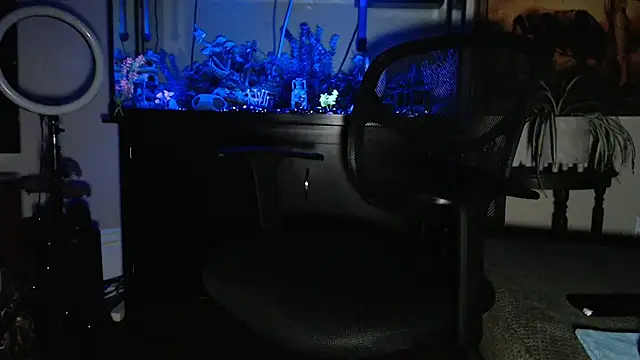 EspanolVato online show from February 19, 2026, 10:55 am