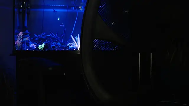 EspanolVato online show from April 18, 2026, 9:24 am