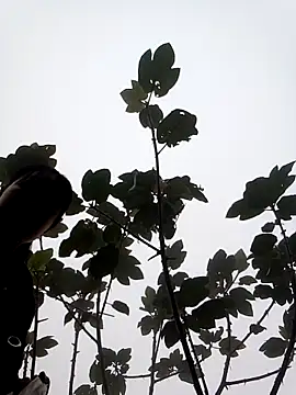 him220 online show from March 7, 2026, 2:08 am