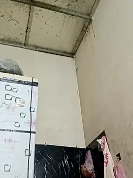 Sana-vn online show from February 27, 2026, 5:24 pm