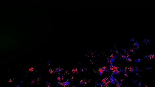 wolverinedream online show from April 20, 2026, 3:59 pm