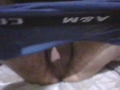 kemo2087 online show from April 2, 2026, 10:18 pm