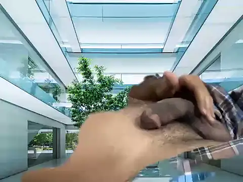 mdlaif1111 online show from April 8, 2026, 9:31 am