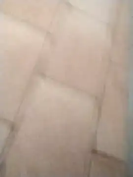 Snapshot of pikademel018 chatting on February 28, 2026, 1:56 pm pikademel018 online show from February 28, 2026, 1:56 pm