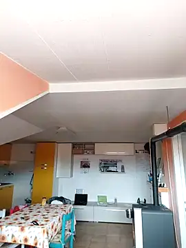 colosone online show from March 1, 2025, 11:06 am