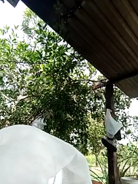 Snapshot of -Nicole-e chatting on February 10, 2026, 7:12 am -Nicole-e online show from February 10, 2026, 7:12 am