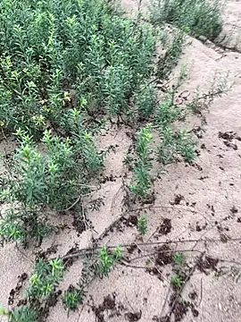 Annalua73 online show from January 18, 2026, 6:44 pm