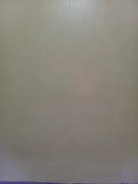 Snapshot of TRACYTOTO26 chatting on June 23, 2026, 3:54 pm TRACYTOTO26 online show from June 23, 2026, 3:54 pm
