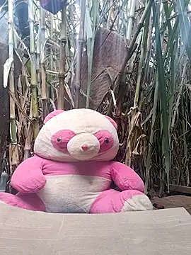 leona118 online show from February 11, 2026, 1:32 am