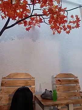 Dante Knox online show from May 20, 2026, 11:16 am