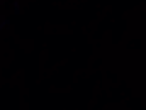 Notty 67 online show from March 7, 2026, 6:16 pm