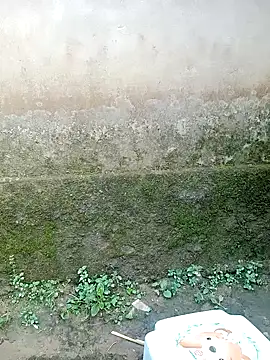 out-lustt online show from April 20, 2026, 9:45 am