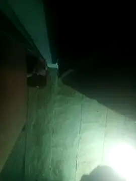 Snapshot of priyasharma899 chatting on March 13, 2026, 12:06 am priyasharma899 online show from March 13, 2026, 12:06 am