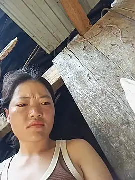 kotaka-shoow online show from July 13, 2026, 8:06 am
