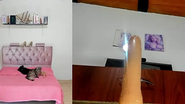 harper funny online show from April 20, 2026, 6:09 pm