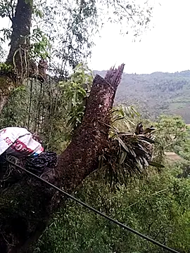 lia-coy online show from April 19, 2026, 12:43 am