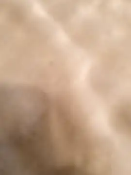 testmailx75 online show from February 23, 2026, 9:23 pm