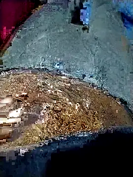 xx couple online show from January 19, 2026, 4:11 pm