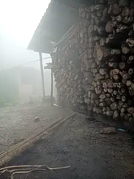 cutebobi online show from March 23, 2026, 1:42 am