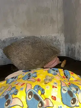 Iam AlexandraRey online show from February 15, 2026, 7:51 am