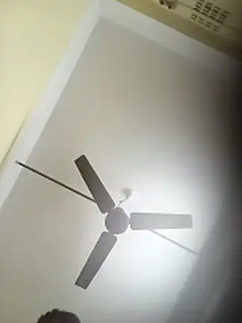 deshilnd online show from April 3, 2026, 4:21 am