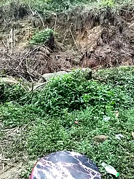 Hoa-tuylip online show from April 21, 2026, 1:29 am